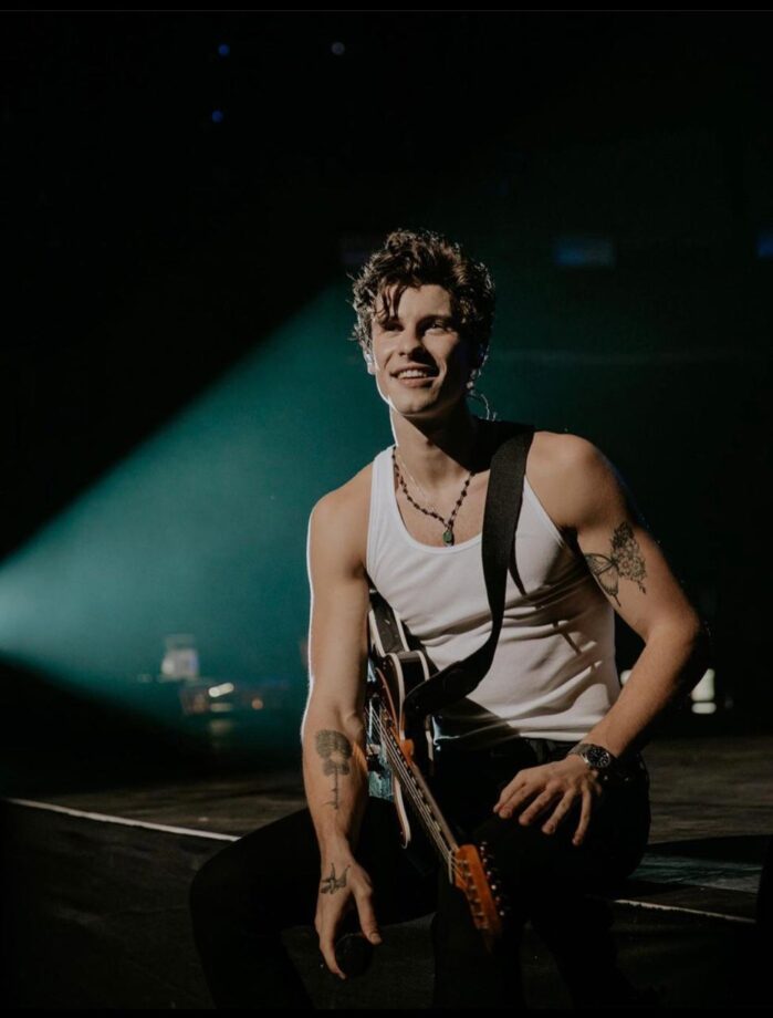 Shawn Mendes Top 10 Hottest Looks On Instagram - 2