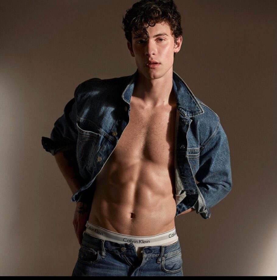 Shawn Mendes Top 10 Hottest Looks On Instagram - 1