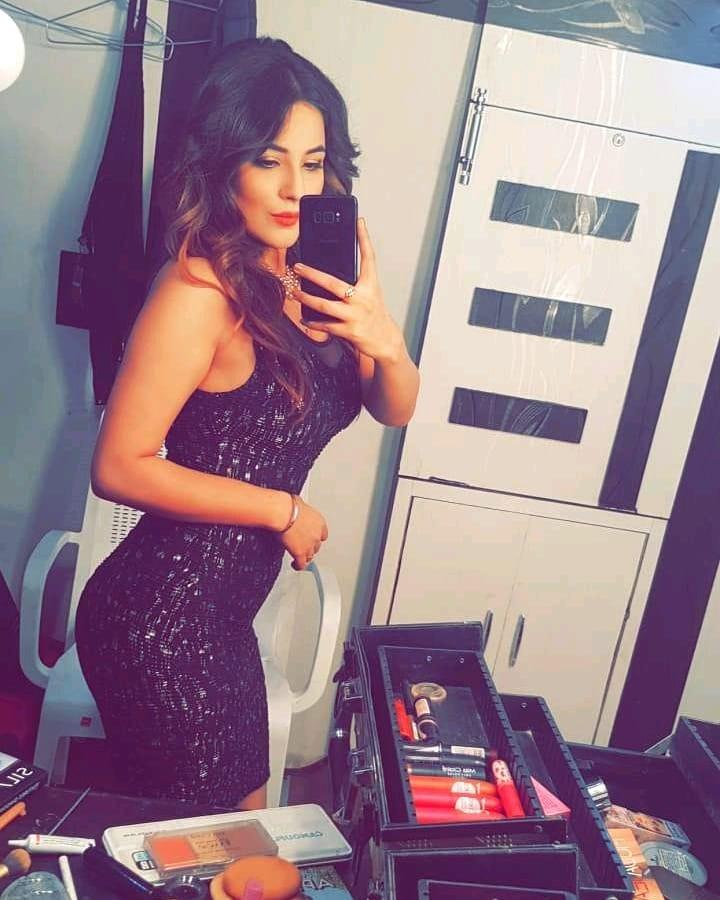 Shehnaaz Gill's Mirror Selfies Is An Inspiration For Ultimate Go-To Instagram Pics 5