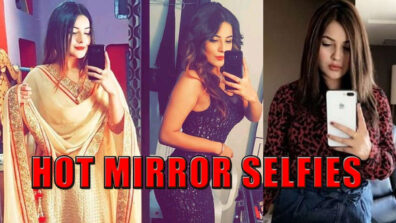 Shehnaaz Gill’s Mirror Selfies Is An Inspiration For Ultimate Go-To Instagram Pics