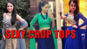 Shrenu Parikh Looking Drop Dead Gorgeous In These Crop Tops