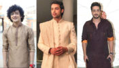 Sumedh Mudgalkar, Parth Samthaan and Aly Goni Look Resplendent In Traditional Outfits