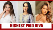 Surbhi Chandna Vs Dipika Kakar Vs Nia Sharma: The Highest Paid Television Diva?
