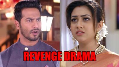 Tujhse Hai Raabta spoiler alert: Malhar’s evil avatar to SHOCK Kalyani