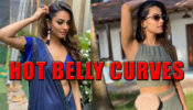 Want Hot Belly Curves Like Anita Hassanandani? Take Inspiration From These Pics