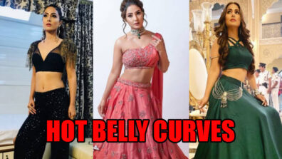 Want Hot Belly Curves Like Hina Khan? Take Inspiration From These Pictures