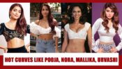 Want Sizzling Body Curves Like Pooja Hegde, Nora Fatehi, Mallika Sherawat And Urvashi Rautela? These Photos Will INSPIRE YOU