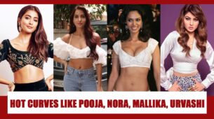 Want Sizzling Body Curves Like Pooja Hegde, Nora Fatehi, Mallika Sherawat And Urvashi Rautela? These Photos Will INSPIRE YOU