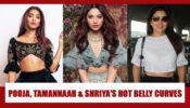 Want sizzling belly curves like Pooja Hegde, Tamannaah Bhatia & Shriya Saran? Take inspiration from photos below