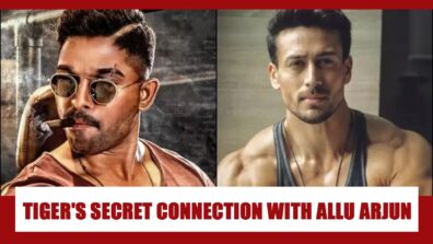 What Is Tiger Shroff’s Unknown Connection With South Superstar Allu Arjun? You Will Be SURPRISED