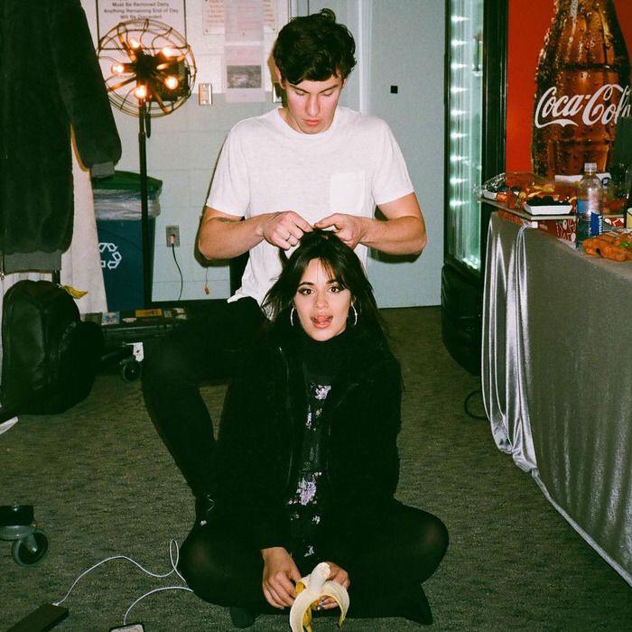 Where Did Camila Cabello And Shawn Mendes Meet For The First Time? Their Love Story Will Melt You - 0