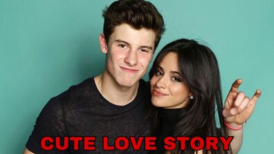 Where Did Camila Cabello And Shawn Mendes Meet For The First Time? Their Love Story Will Melt You