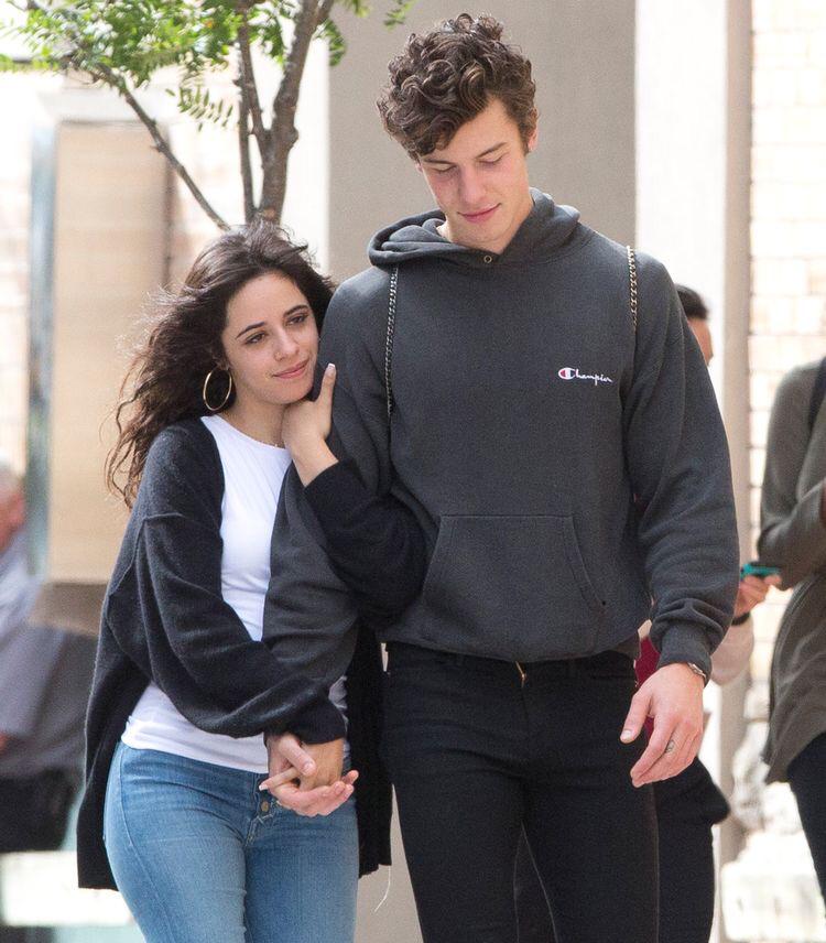 Where Did Camila Cabello And Shawn Mendes Meet For The First Time? Their Love Story Will Melt You - 1