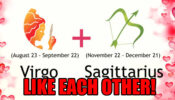 Why Do Sagittarius Like Virgos?