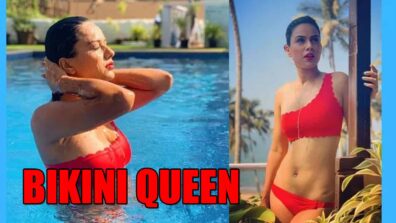 Why is Nia Sharma the ‘Bikini Queen of Television’?