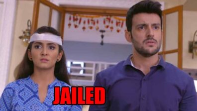 Hamariwali Good News spoiler alert: OMG! Aditya to get jailed
