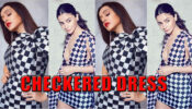 Alia Bhatt Or Shraddha Kapoor: Who Nailed The Checkered Dress Better?