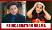 Barrister Babu Spoiler Alert: Entry of Chahat Tewani and reincarnation of Anirudh’s mother