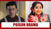 Barrister Babu Spoiler Alert: Shubhra POISONS Anirudh