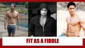 Barun Sobti, Vivian Dsena, Mohit Raina: Best Fitness Photos To Inspire