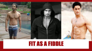 Barun Sobti, Vivian Dsena, Mohit Raina: Best Fitness Photos To Inspire