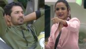 Bigg Boss 14: Jasmin Bhasin and Abhinav Shukla try to decode Mastermind Vikas Gupta’s judgement about their game