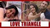 Bigg Boss 14 spoiler alert Day 69: Love triangle between Aly Goni, Jasmin Bhasin, Nikki Tamboli