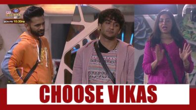 Bigg Boss 14 spoiler alert Day 70: Arshi Khan calls Vikas Gupta ‘capable captain’ over Rahul Vaidya