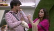 Bigg Boss 14 spoiler alert Day 70: Hot Air Balloon task sees Arshi Khan and Vikas Gupta clash for Captaincy
