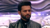Bigg Boss 14 spoiler alert Weekend Ka Vaar: Did Rahul Vaidya just voluntarily leave the house?