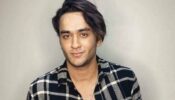 Bigg Boss 14: Vikas Gupta opens up about his responsibilities