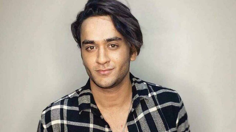 Bigg Boss 14: Vikas Gupta opens up about his responsibilities