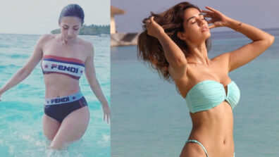 Bollywood’s Disha Patani, Malaika Arora To South’s Pooja Hegde, Taapsee Pannu: Top Bikini Queens Of Indian Television