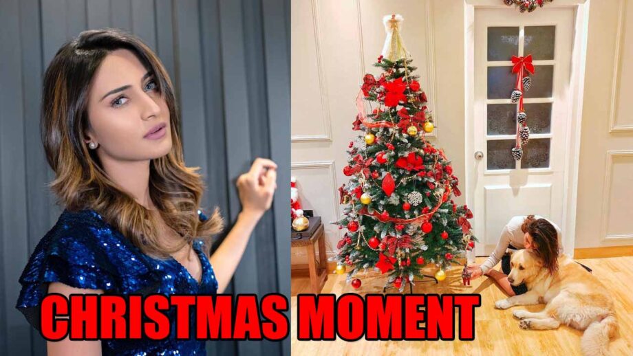 Check out: Erica Fernandes's special Christmas moment