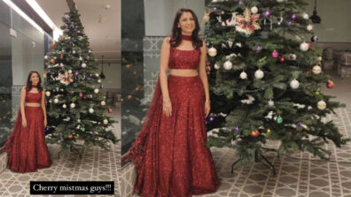 Cherry Mistmas guys: Sriti Jha gets goofy on Christmas day, fans can’t stop laughing at her hilarious wish
