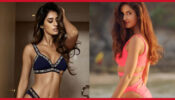 Disha Patani Or Katrina Kaif: Hottest Bikini Looks