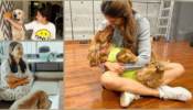 Disha Patani To Ananya Panday: Bollywood Stars Who Are Also Dog Lovers