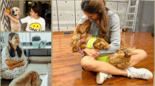 Disha Patani To Ananya Panday: Bollywood Stars Who Are Also Dog Lovers