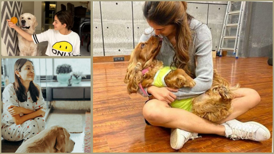 Disha Patani To Ananya Panday: Bollywood Stars Who Are Also Dog Lovers