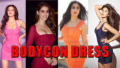 Disha Patani To Katrina Kaif: 5 Actresses Who Nailed The Bodycon Dresses