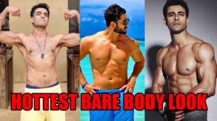 Eijaz Khan, Aly Goni, Gautam Rode: Which Star Has The Hottest Bare Body Look?
