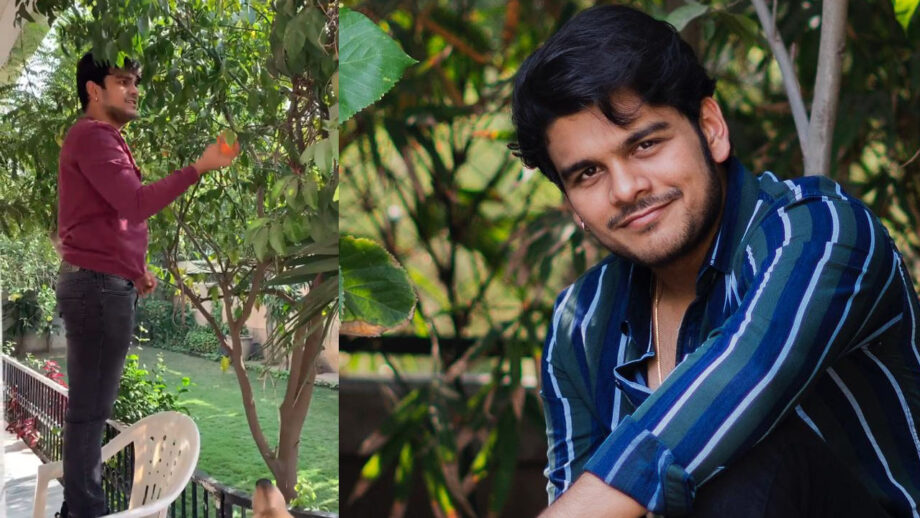 Farming Time: TMKOC's Bhavya Gandhi aka Tapu loves yummy 'oranges'