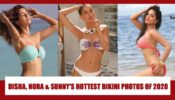 From Disha Patani To Nora Fatehi BIKINI PHOTOS OF 2020 that went viral