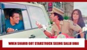 Funny Video: When Shahid Kapoor Got STARSTRUCK Seeing Salman Khan For The First Time