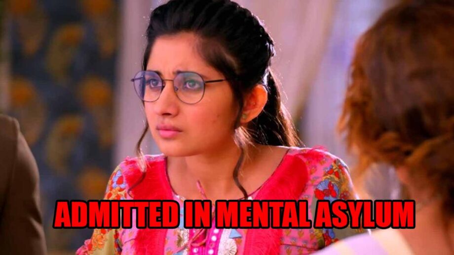 Guddan Tumse Na Ho Payega spoiler alert: Choti Guddan admitted in a mental asylum