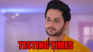 Guddan Tumse Na Ho Payega spoiler alert: Testing times for Agastya