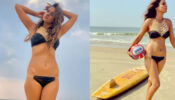 Hottie Alert: Nia Sharma BOLD bikini wear photoshoot goes VIRAL