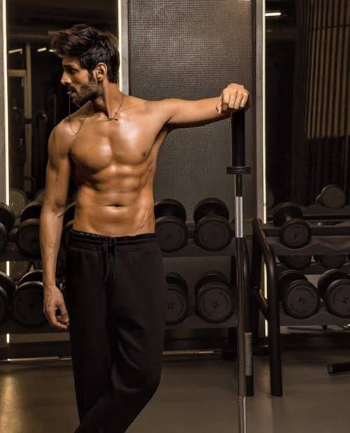 Hrithik Roshan, Shahid Kapoor, Kartik Aaryan, Vicky Kaushal: Best gym moments to inspire 3