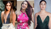 Ileana D’Cruz, Nora Fatehi, And Kareena Kapoor: Top Actresses With The Best Figure