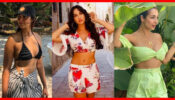 Ileana Dcruz VS Nora Fatehi VS Malaika Arora: Who Has The Hottest Belly Curves?